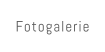 Fotogalerie